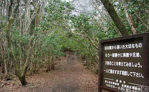 ȫ׃B(ti)10(g)ط^(du)ȥ